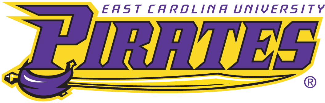 East Carolina Pirates 1999-2013 Wordmark Logo v2 DIY iron on transfer (heat transfer)